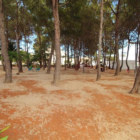 Family Seafront Apt Fantastic Seaview Pollenca Ngoại thất bức ảnh